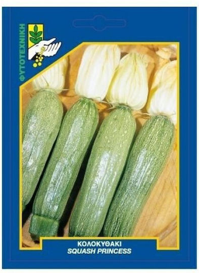 Geniki Fytotechniki Athinon Seeds Pumpkinς Zucchini Squash Princess Green