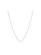 Paraxenies Silver Chain Neck