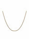 Paraxenies Chain Neck Spiral made of Stainless Steel Gold-plated Length 50cm