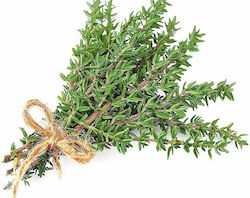 Geoponiki Thyme Seed 2gr