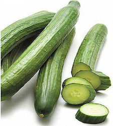 Geoponiki Seeds Cucumber 10pcs