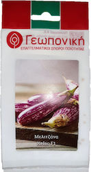 Geoponiki Seeds Aubergine 10pcs