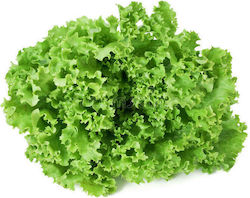 Geoponiki Seeds Lettuce 50gr