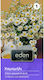 Eden Samen Kamille 0.2gr