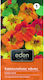 Eden Samen Cappuccino Mehrfarbig 4gr