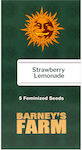 Barneys Farm Samen Strawberryς