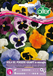 Olter Seeds Viola 20pcs Polychrome