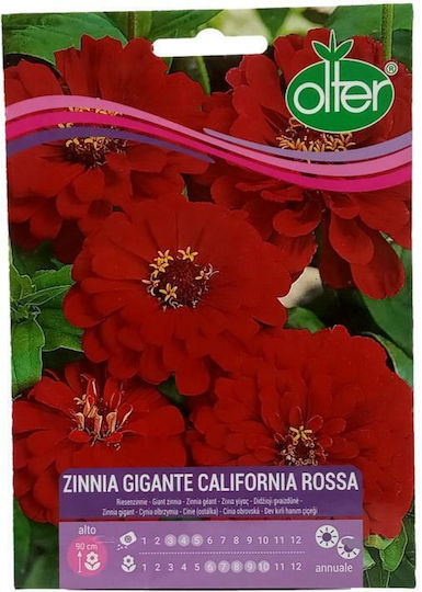 Olter Σπόροι Ζίνια California Γίγας