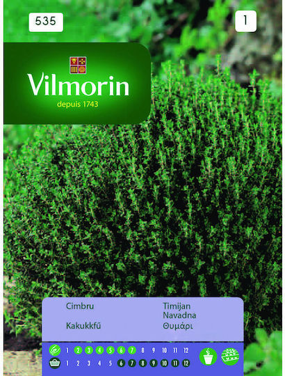 Vilmorin Σπόροι Θυμάρι 0.3gr