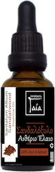 Gaia Products Αιθέριο Έλαιο Σανδαλόξυλο με Σταγονόμετρο 5ml Gaia Products Αιθέριο Έλαιο Σανδαλόξυλο με Σταγονόμετρο 5ml
