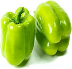 Planty ΕΠΕ Seeds Peppers 500pcs