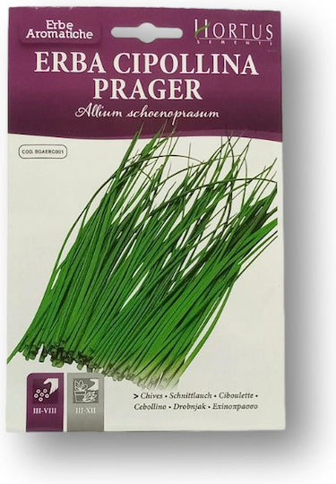 Hortus Sementi Samen Schnittlauch