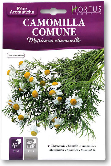 Hortus Sementi Σπόροι Χαμομήλι