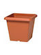 Plastecnic Γλάστρα Πλαστική Καφέ 19.6x19.6x16.4εκ.