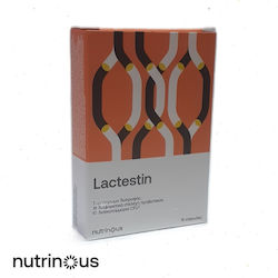 Nutrinous Lactestin 15 κάψουλες Nutrinous Lactestin 15 κάψουλες