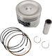 TKRJ Motorcycle Piston 53mm for Honda ANF 125 Innova