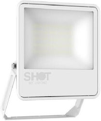 Bot Lighting LED Flutlichter 50W Natürliches We...