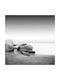 Walls Poster Tide 20x20cm