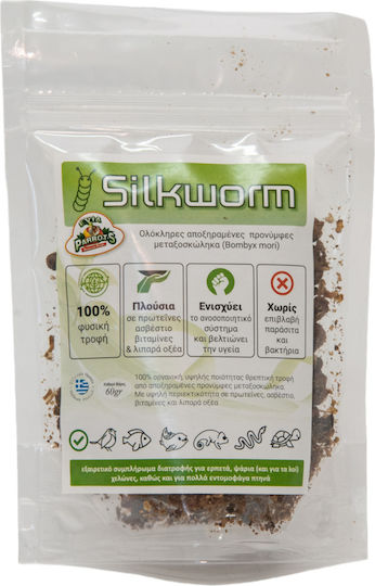 Evia Parrots Futter für Insektenfresser 60gr