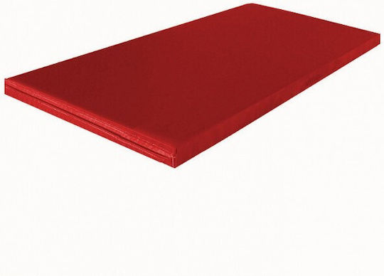 Sportstore Упражнение Мат за Спортна гимнастика Червен (200x100x5см)