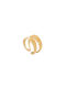 Rebecca Women's Gold Plated Ring