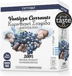 Dioterra Σταφίδα Μαύρη Χωρίς Ζάχαρη 200gr