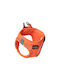 Glee Hundegeschirr Orange Klein 89364