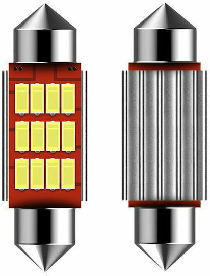 Heleco Lamps Car C5W Canbus LED 6000K Cold White 12V 2W 2pcs