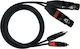 ZZiPP Кабел 2 x XLR Женски - 2 x RCA Мъжки Черен 3м DZZF300