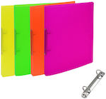 DOSIE PP 2 CRICKETS 19X26X2,2cm FLUO ASSORTED COLORS