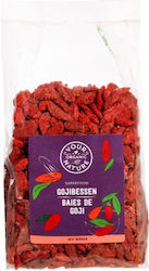 Your Organic Nature Goji Berries Bio 250gr Your Organic Nature Goji Berries Bio 250gr