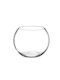 Palma Emporio Decorative Vase Transparent 15x15x11.5cm