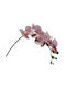 Artificial Decorative Branch Orchid Pink 77cm 1pcs