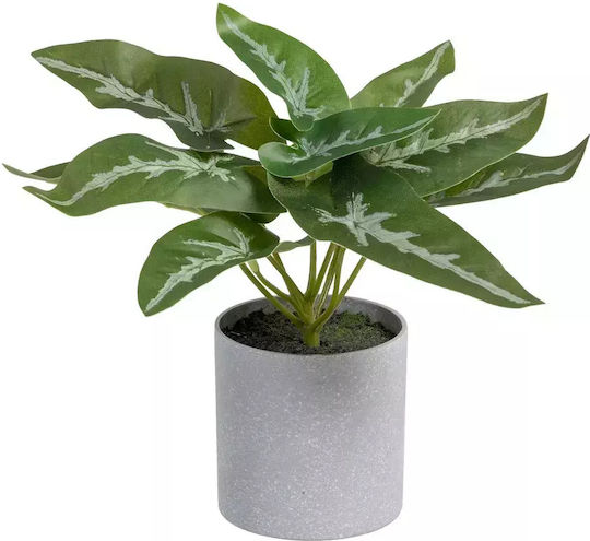 Изкуствено Растение в Саксия Ixia Regal