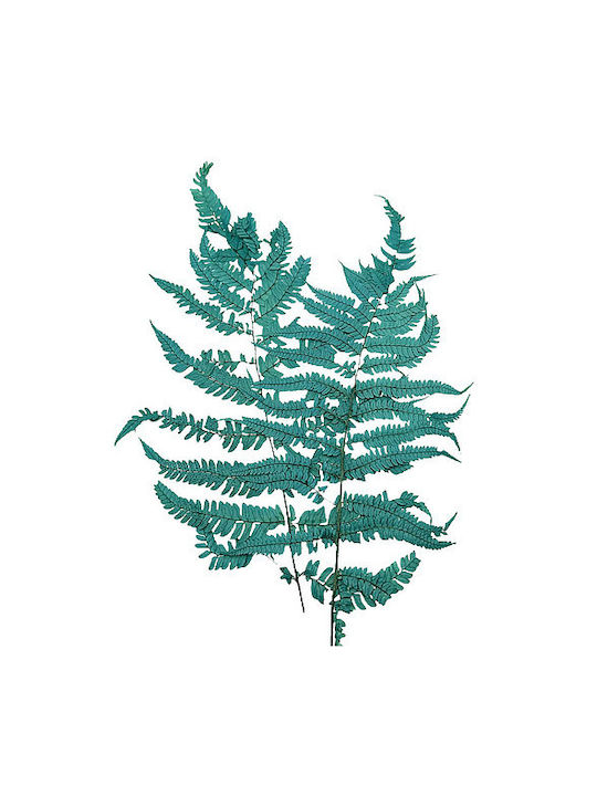 Dried Plant Fern Turquoise 60cm 2pcs