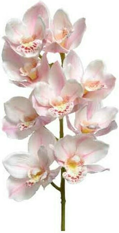 Artificial Decorative Pink Orchid Branch Batsarisakis Artificial Decorative Pink Orchid Branch Batsarisakis