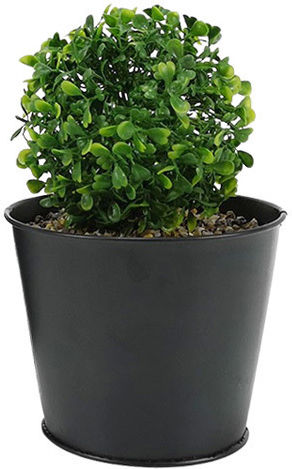 Plantă Artificială în Ghiveci Mic Black 22cm General Trade