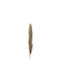 Artificial Decorative Branch Pampas Grass Brown 12cm Interni Oggi