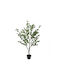 Artificial Plant in Pot Eucalyptus Green 150cm Interni Oggi