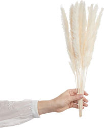 Μπουκέτο από Pampas grass Λευκό Butlers Μπουκέτο από Pampas grass Λευκό Butlers