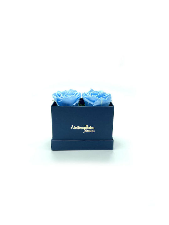 Ewige Rose Blau 9cm in Box Aleiferopoulos Flowers