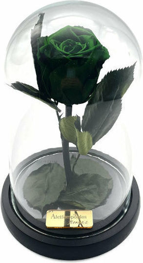 Παντοτινό Τριαντάφυλλο 24cm σε Γυάλα Aleiferopoulos Flowers