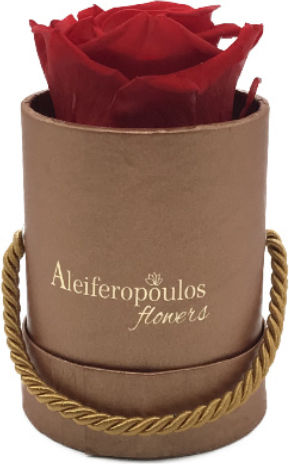 Ewige Rose Rot in Box Aleiferopoulos Flowers
