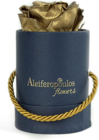 Trandafir Etern Auriu în cutie Aleiferopoulos Flowers