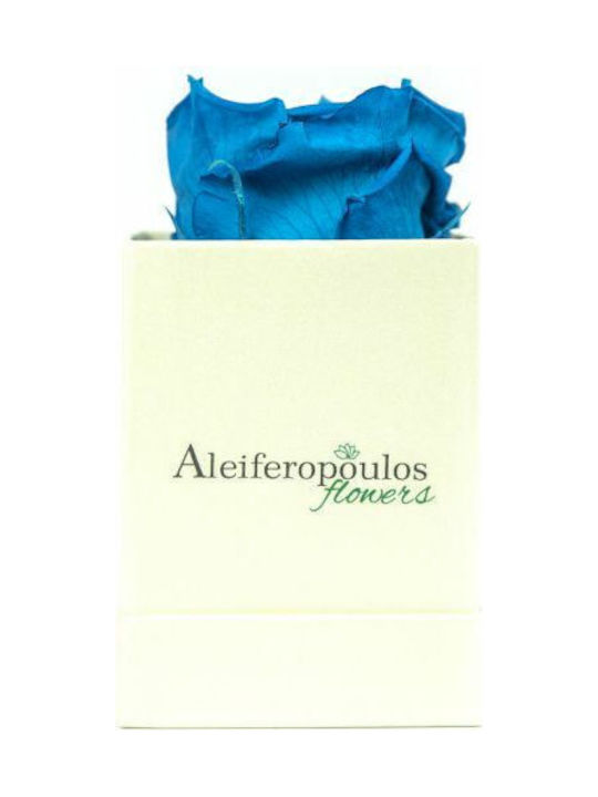 Aleiferopoulos Flowers Eternal Rose Ecru in Box 1pcs