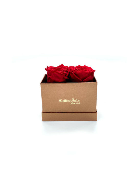 Ewige Rose Rot 9cm in Box Aleiferopoulos Flowers