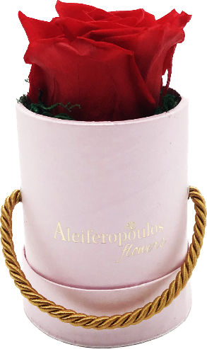 Παντοτινό Τριαντάφυλλο Κόκκινο σε Κουτί Aleiferopoulos Flowers