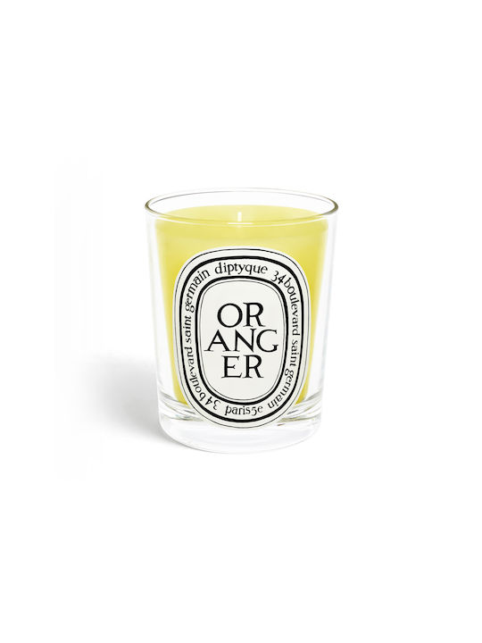 Diptyque Scented Candle Jar Green 190gr 1pcs