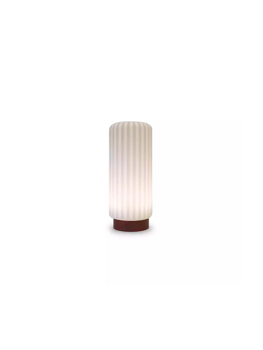 AP Table Decorative Lamp LED Brown