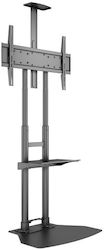 Multibrackets Public Floorbase Basic Βάση Τηλεόρασης Δαπέδου έως 80"